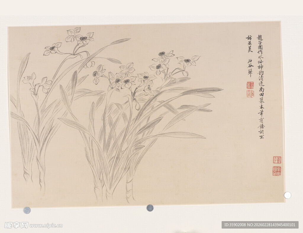 恽寿平水墨兰花图