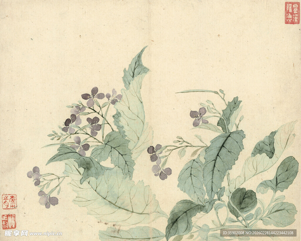 恽寿平水墨花卉图