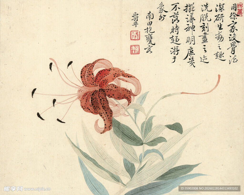 恽寿平水墨写意朱顶红花草图