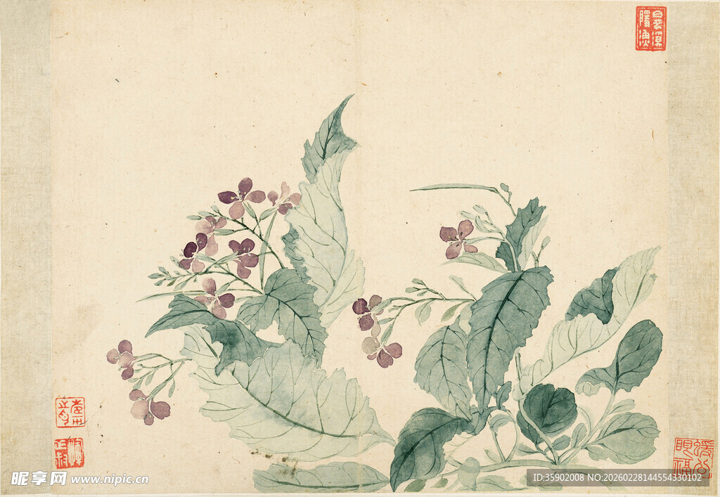 恽寿平水墨花卉图