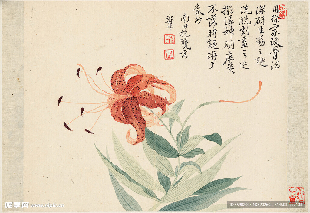 恽寿平水墨萱草图