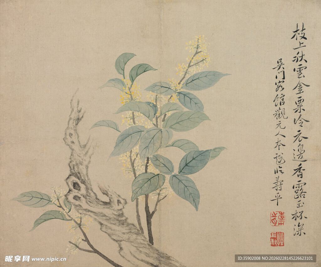 恽寿平中式古画植物花卉图