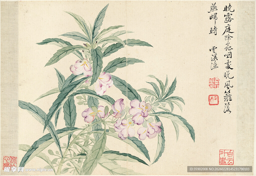 恽寿平水墨兰花图