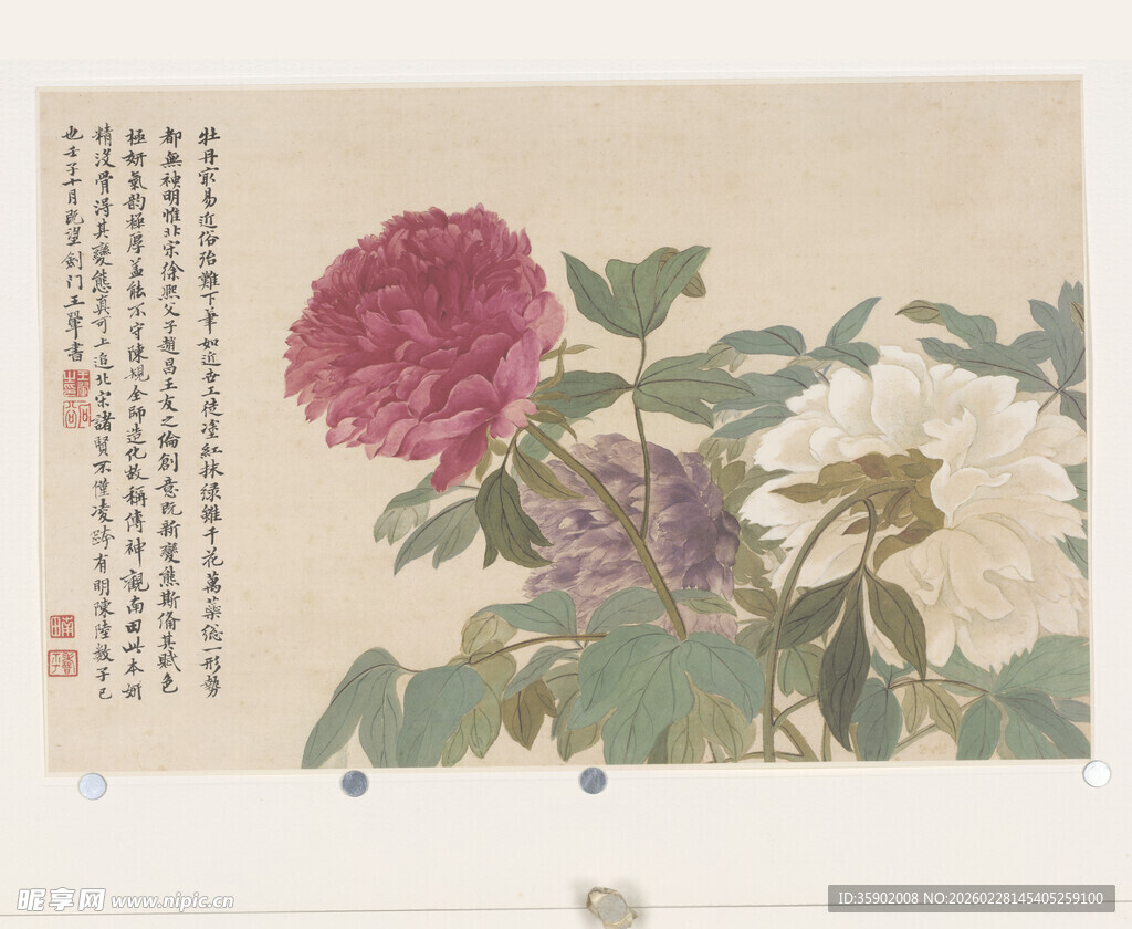 恽寿平工笔牡丹花卉图