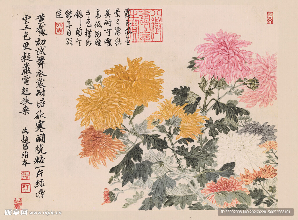 恽寿平国画菊花图