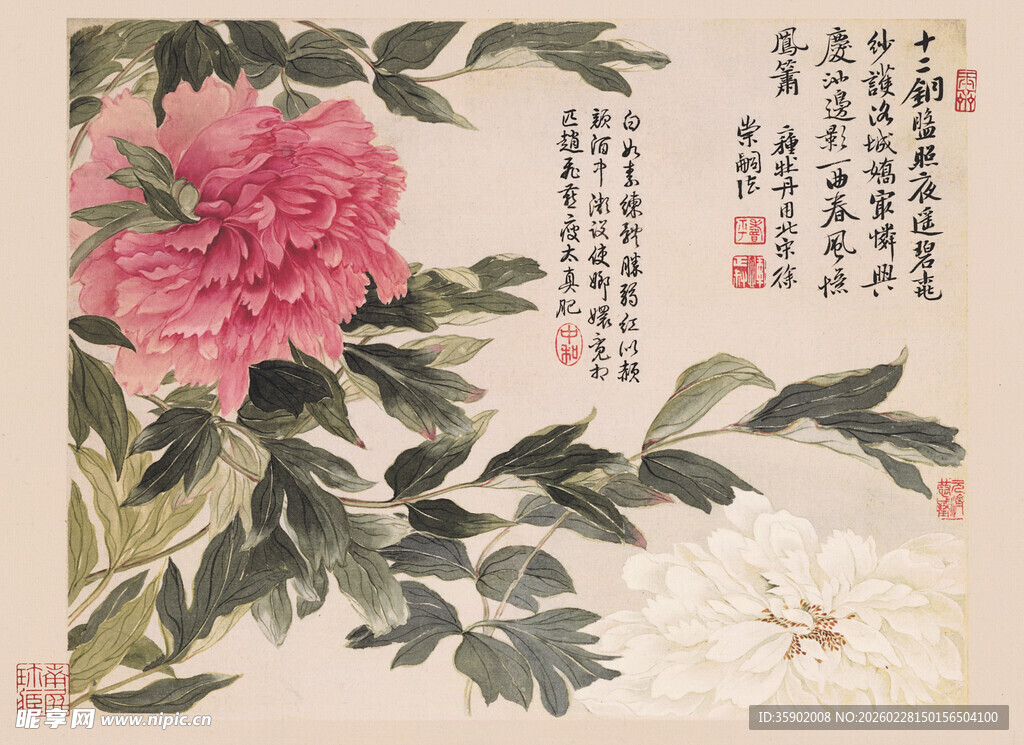 恽寿平国画牡丹图