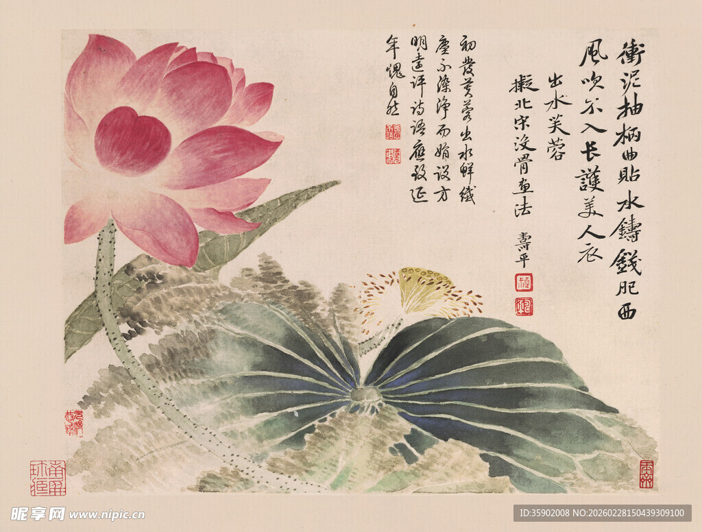 恽寿平水墨荷花图
