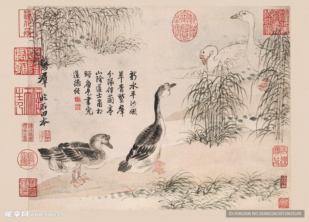 恽寿平水墨鸭趣图