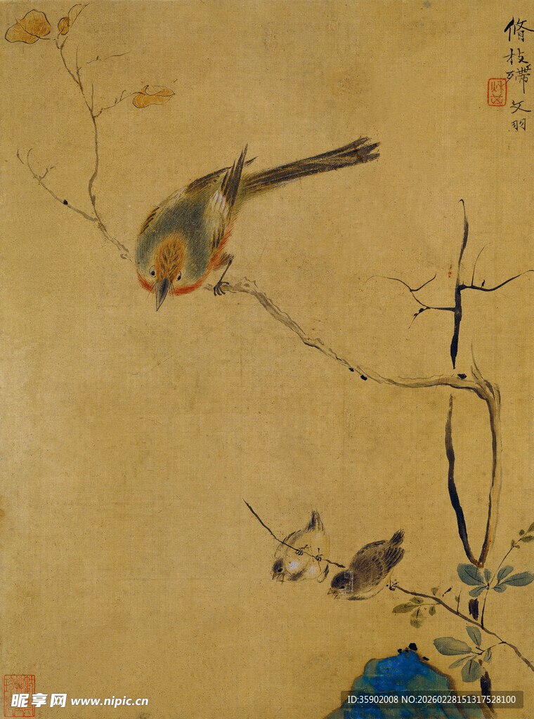 恽寿平枝头栖鸟图