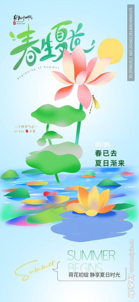 夏日荷塘荷花游鱼美景