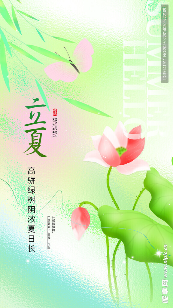 清新立夏荷花插画图