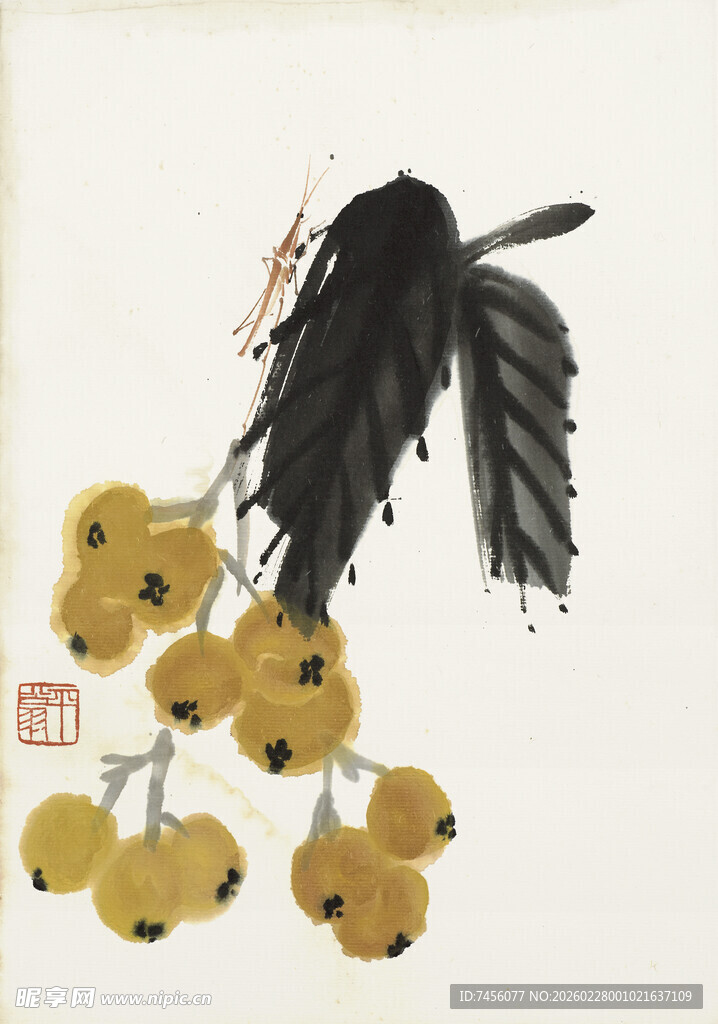 墨鸟栖于黄果枝头