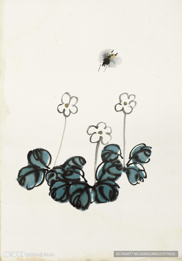 齐白石水墨风花卉植物插画