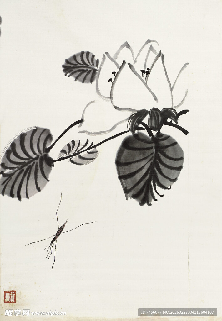 齐白石水墨荷花蜻蜓图