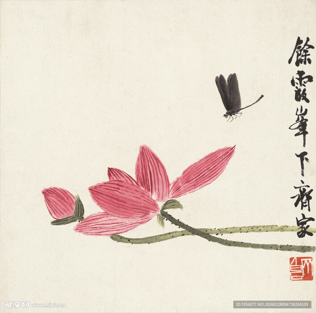 齐白石水墨荷花蜻蜓图