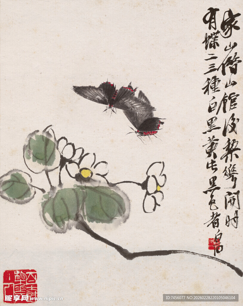 齐白石水墨荷花蜻蜓图