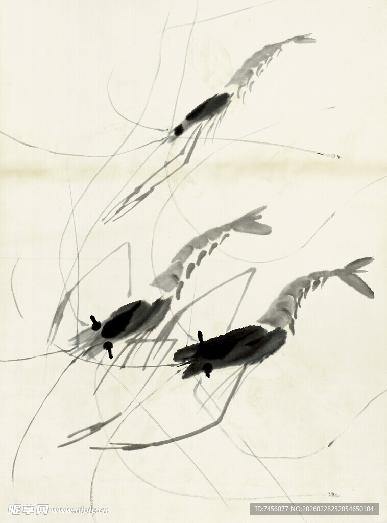 齐白石水墨虾趣图