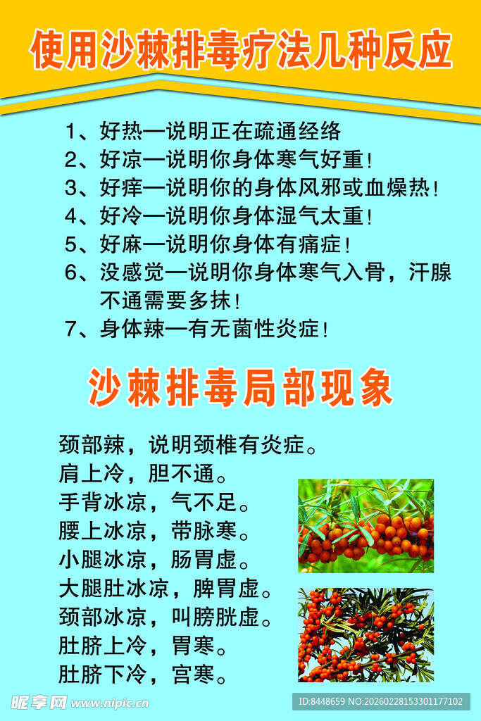 沙棘排毒几种现象