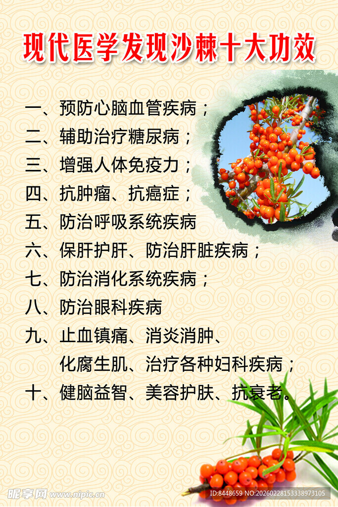 现代医学看沙棘十大功效