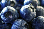 新鲜饱满的蓝莓