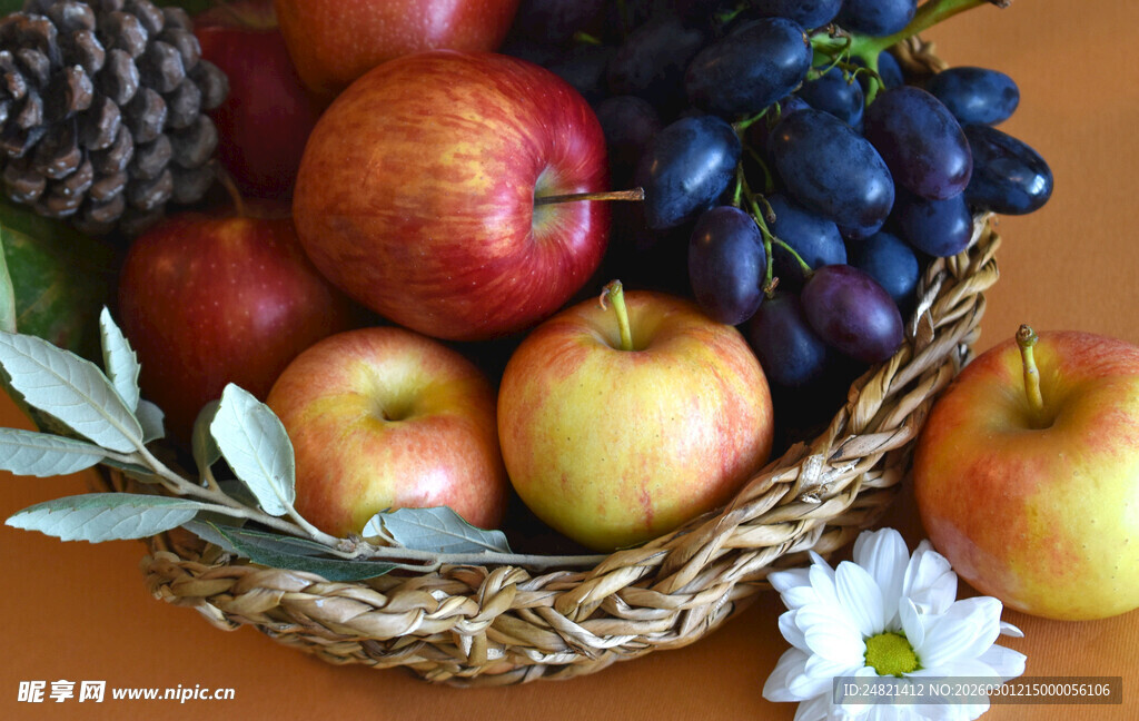 果篮中的多彩新鲜水果
