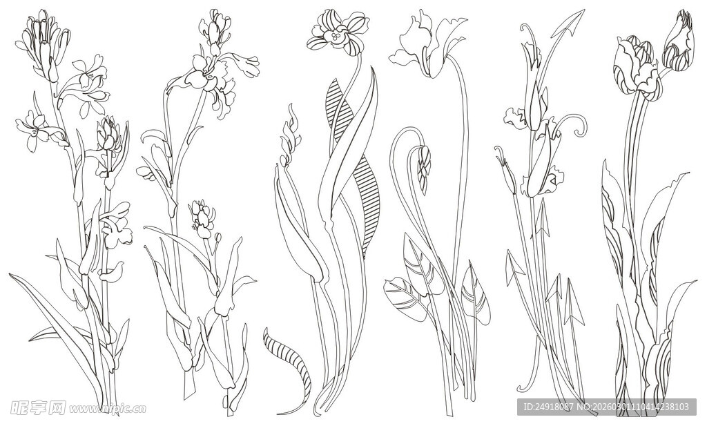 花草鱼鸟线条 矢量线条画