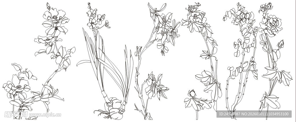 手绘花卉植物线条图