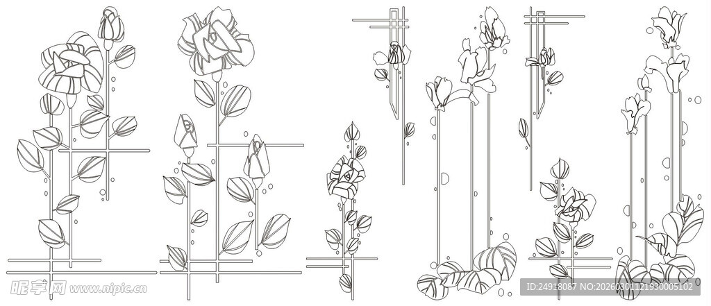 手绘植物线条插画