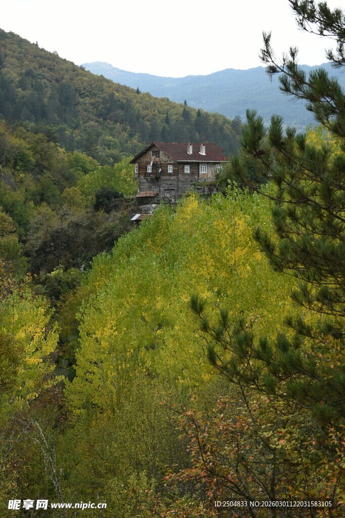 山间绿意中的静谧小屋