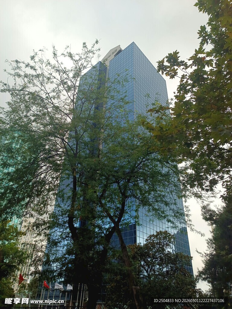 城市中树木掩映的高楼