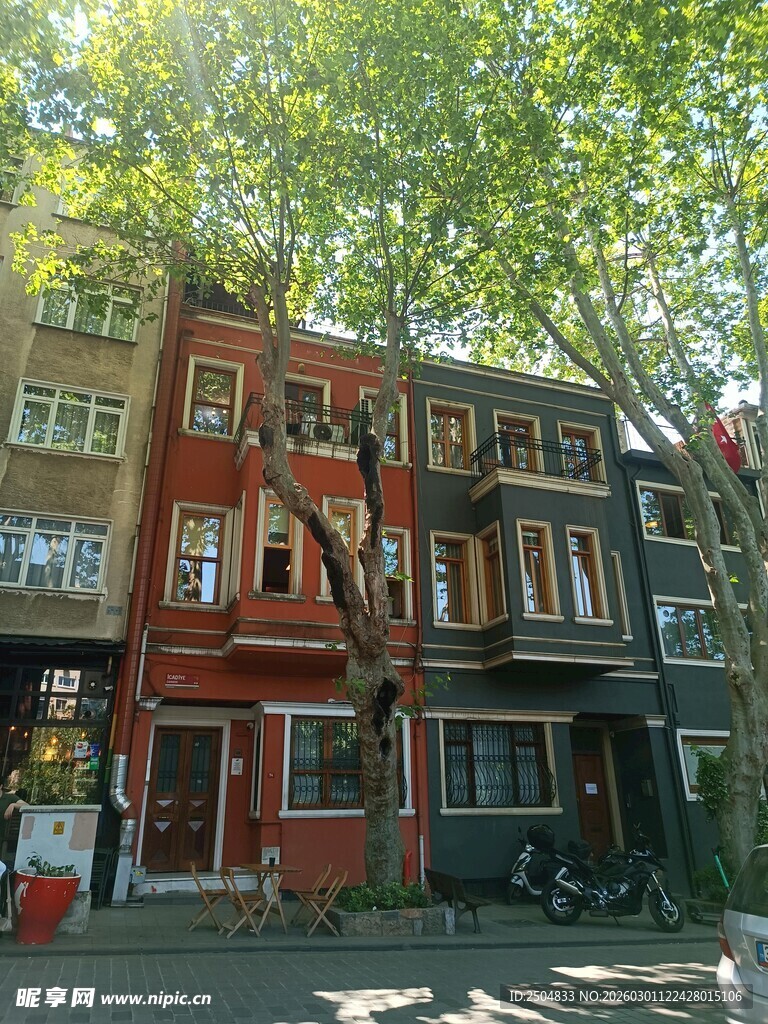 多彩排屋前的葱郁绿树