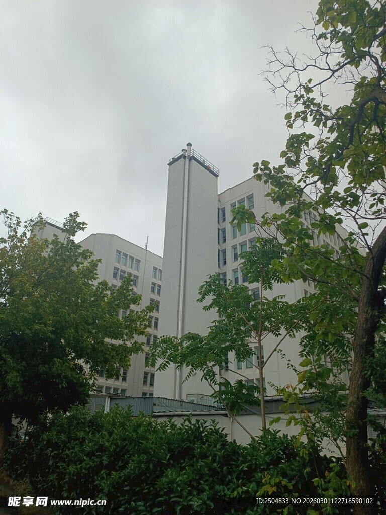 绿树环绕的白色建筑