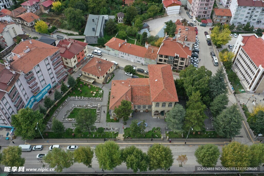 俯瞰红顶建筑与绿树景观