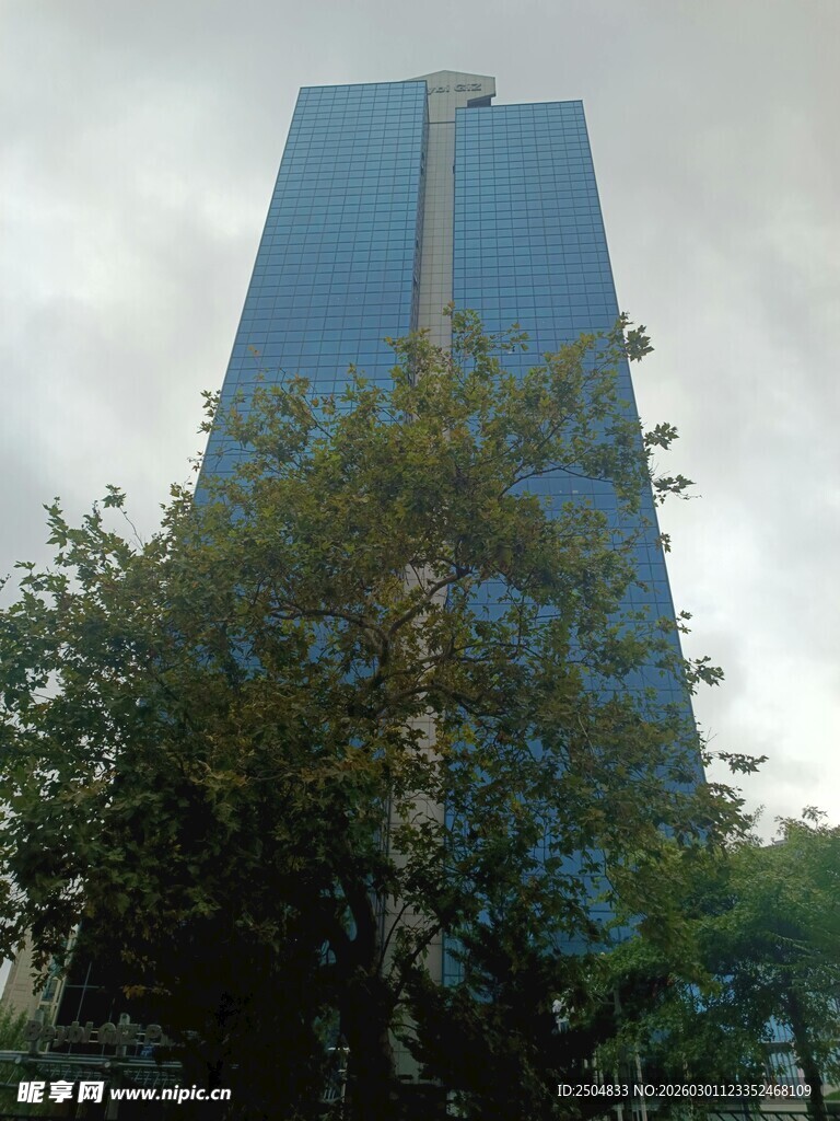 高耸蓝楼与葱郁树木