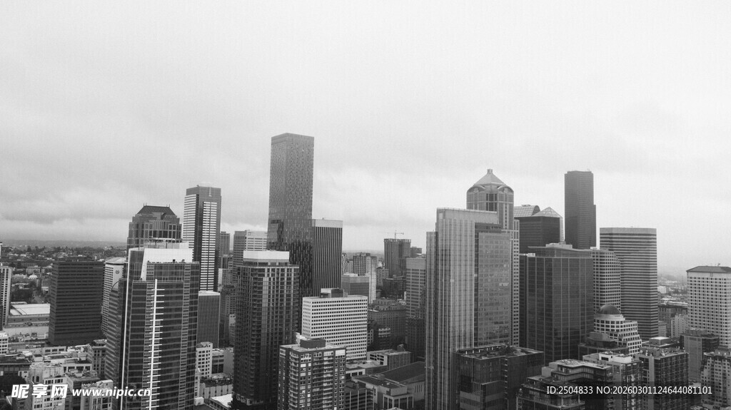 黑白视角下的繁华都市