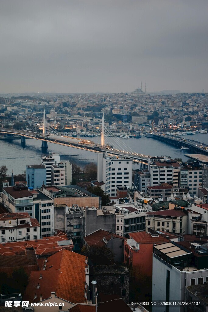 城市俯瞰景观 桥梁横跨河流
