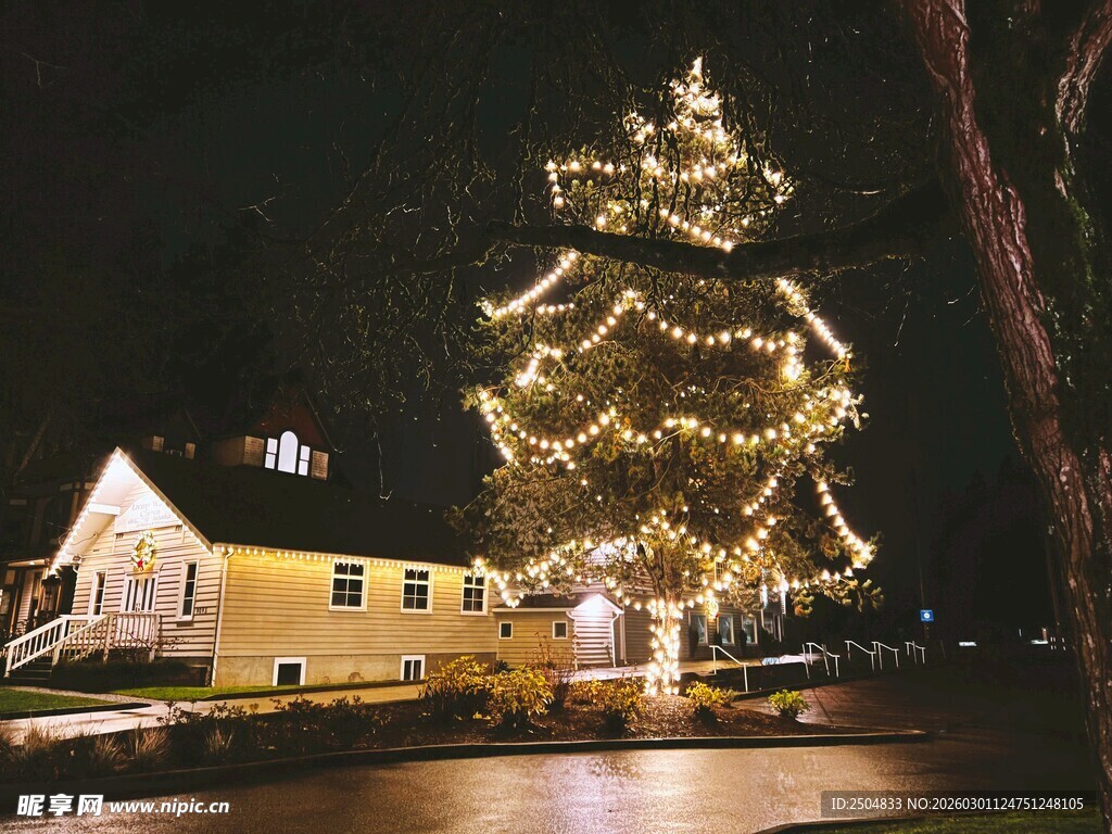 夜晚点亮的绚丽圣诞树