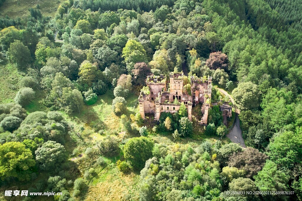 森林中的古老城堡遗迹