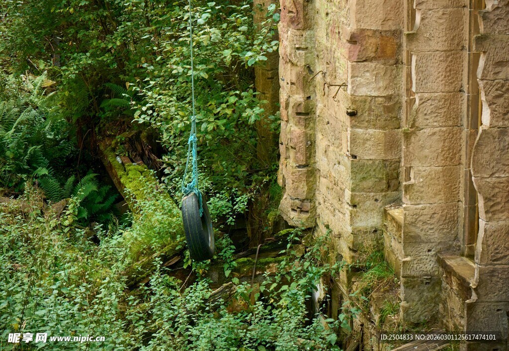 古老石墙旁的繁茂绿植