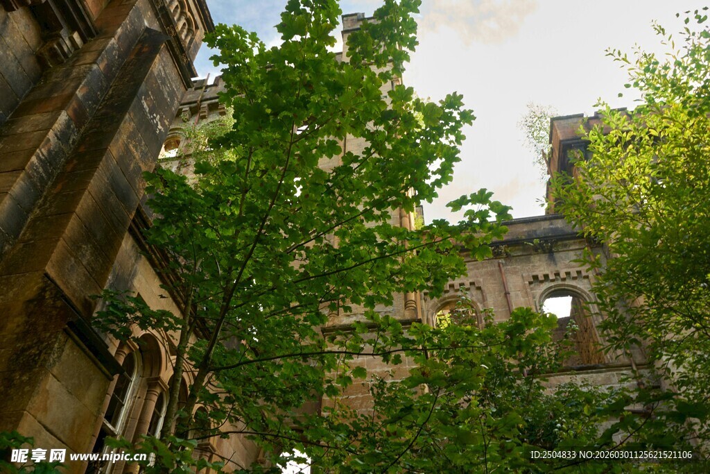 庭院绿树环绕古建筑
