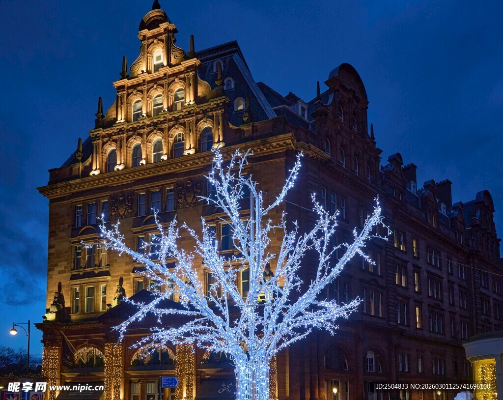 夜晚亮灯树与古典建筑