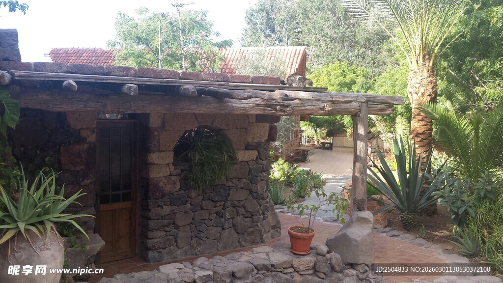 乡村庭院一角的自然景致