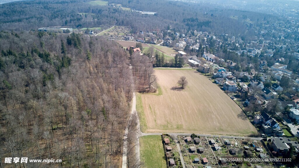俯瞰田野与树林景观