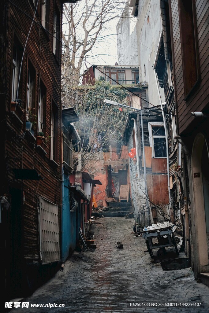狭窄小巷中的静谧景象