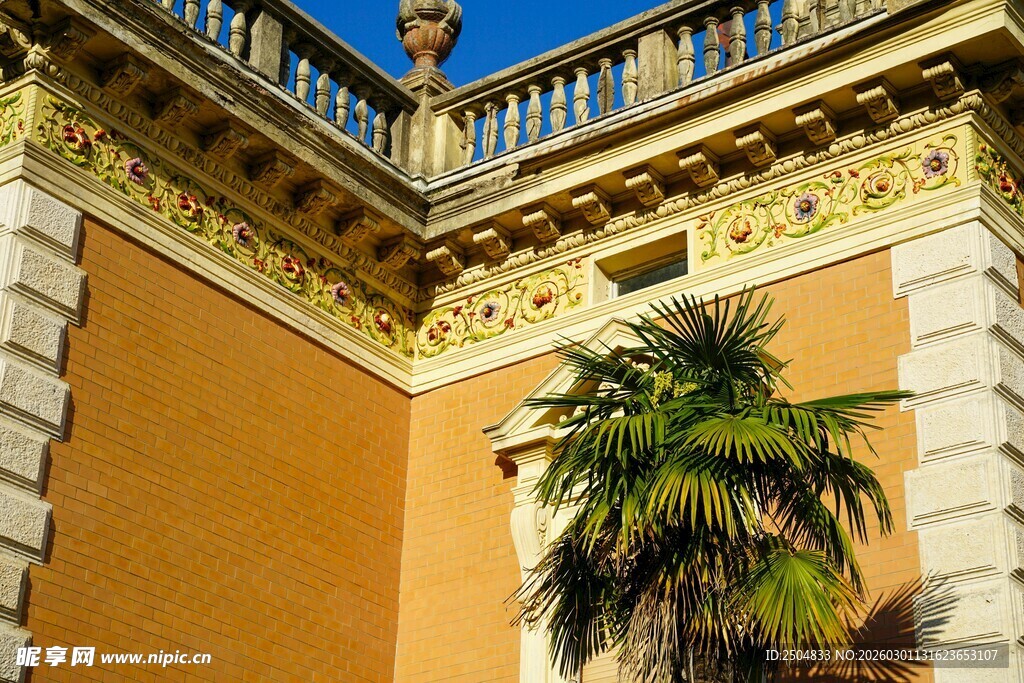 欧式建筑旁的绿色棕榈树