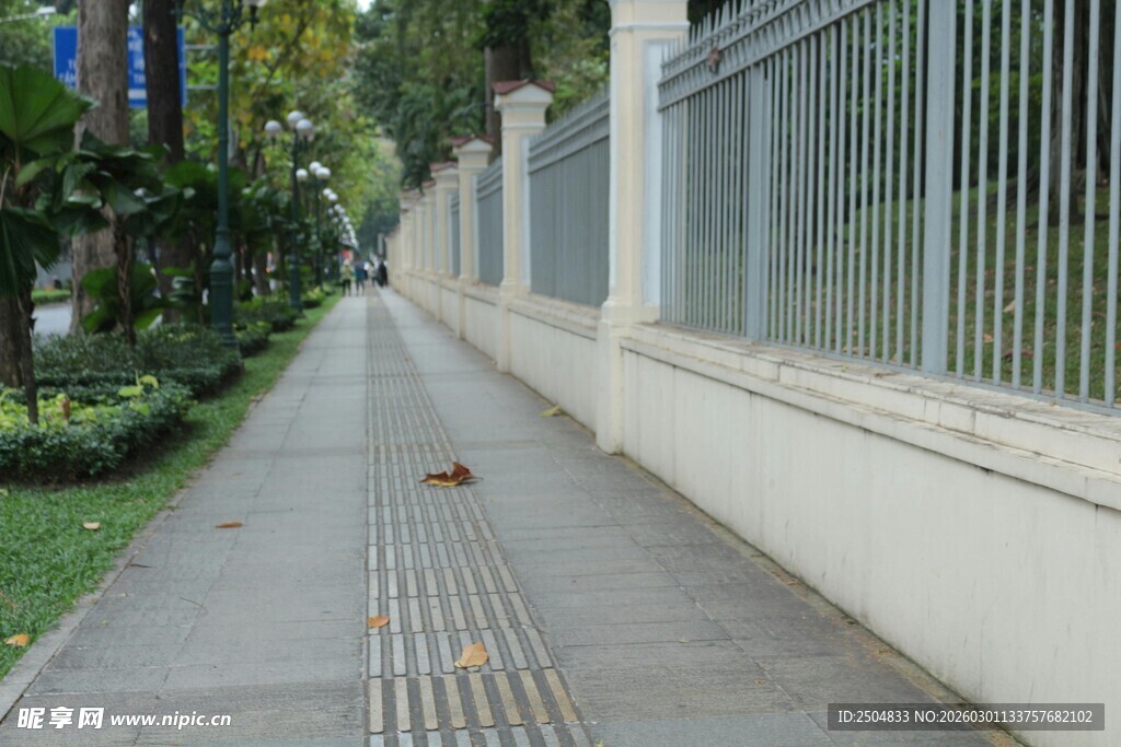空旷人行道上的一只小猫