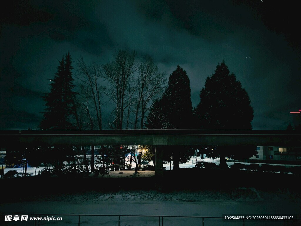 暗夜中的静谧建筑与树木