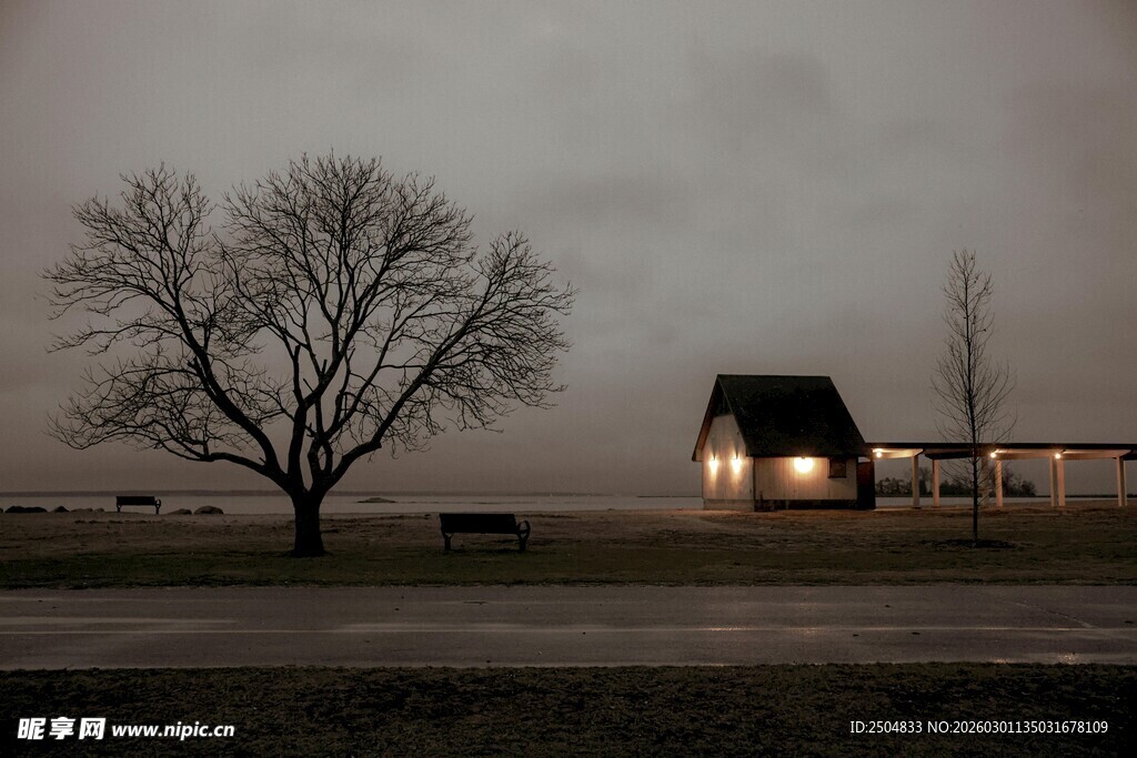 黄昏旷野中的孤屋与枯树