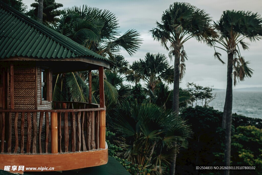 森林中的木质观景小屋