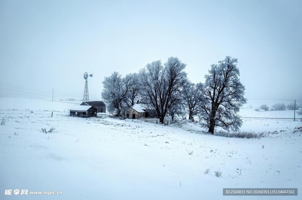冬日雪景中的宁静乡村景象